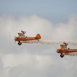 wing walkers