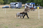 WJ6_5397