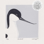 Avocet - linocut