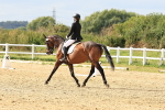 SBM_000562