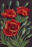 Three Poppies