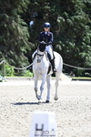 D-401-Laura.Collett-HESTER portfolio