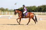 SBM_002911