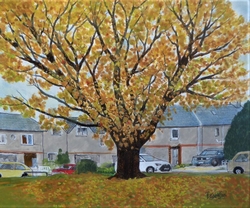 The Orange Tree, Selkirk