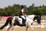SBM_004279