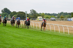 Race 5 16.15pm racingtv.com Handicap portfolio