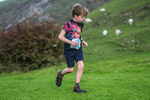 Dovedale Junior-80
