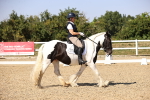 SBM_006548