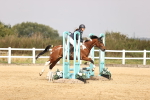 SBM_001443