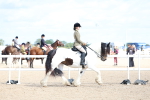 SBM_12033