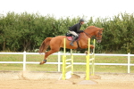SBM_009901