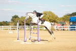 SBM_007733