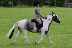 SIAL3746
