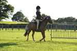 S23 - 1st Ridden Mountain & Moorland Pony portfolio