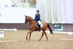 SBM_004982