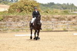 SBM_003643