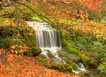 Autumn Fall