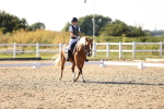 SBM_007738
