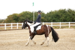 SBM_001502