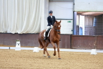 SBM_001010