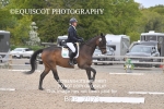 BPP_7073