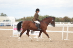 SBM_18152