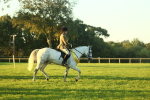SBM_56605