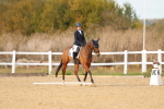 SBM_010584