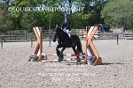 BPP_6954