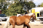SBM_14029
