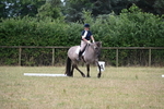 WJ6_1421