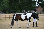 WJ6_7832