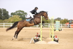 SBM_03691