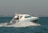 081112 INSTINCT IMG_0249