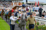 270724-Race 4-Greydreambeliever-7209