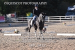 BPP_9422