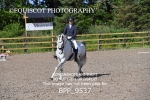 BPP_9537