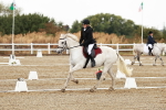 SBM_001171