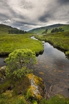 Lochan Lun Da Bhra
