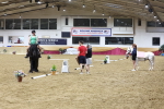 SBM_10224