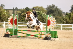 SBM_001973