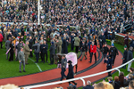 130326-Race 5-Gaelic Warrior-2955