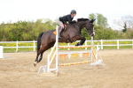 SBM_002640