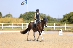 SBM_009434