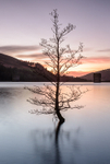 Derwent Reservoir Towers (3)