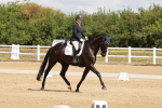 SBM_000499