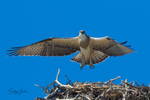 0A3A5015 Lift Off