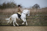 SBM_006072