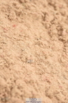 230813A-115508-12165