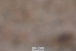 231104A-142346-00798